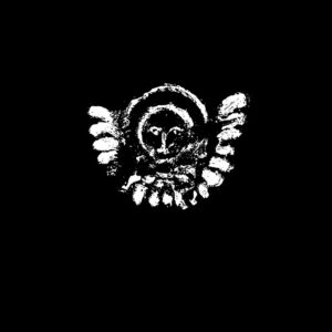 LIKE DRONE RAZORS THROUGH FLESH SPHERES - Sacred Quietus (CD)