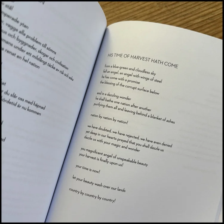 NIKLAS KVARFORTH “When Prozac No Longer Helps” (Book) - Image 5