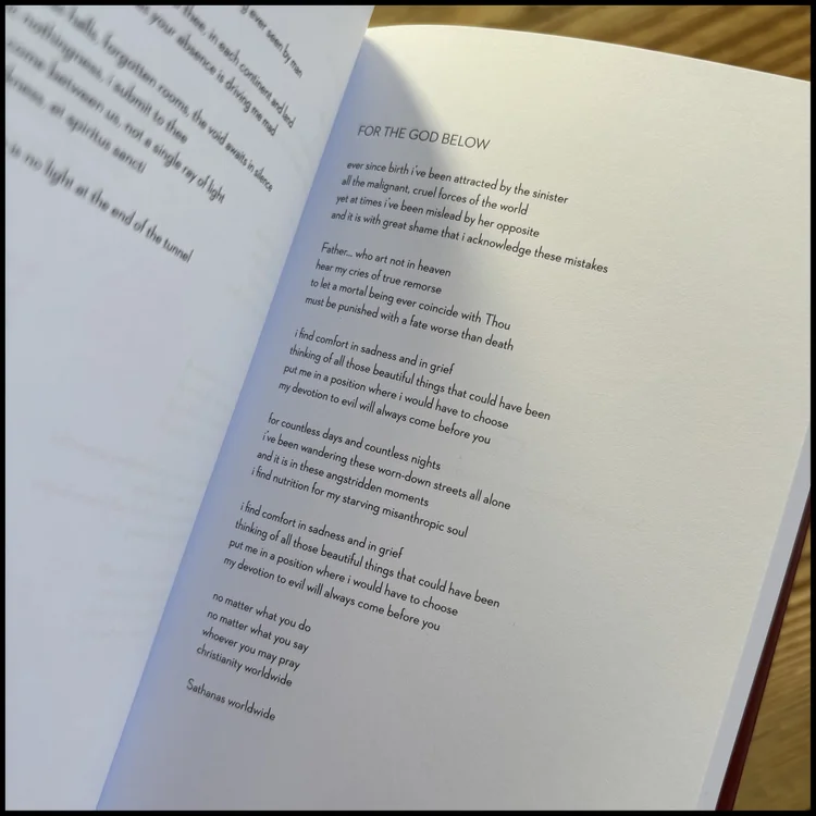 NIKLAS KVARFORTH “When Prozac No Longer Helps” (Book) - Image 4